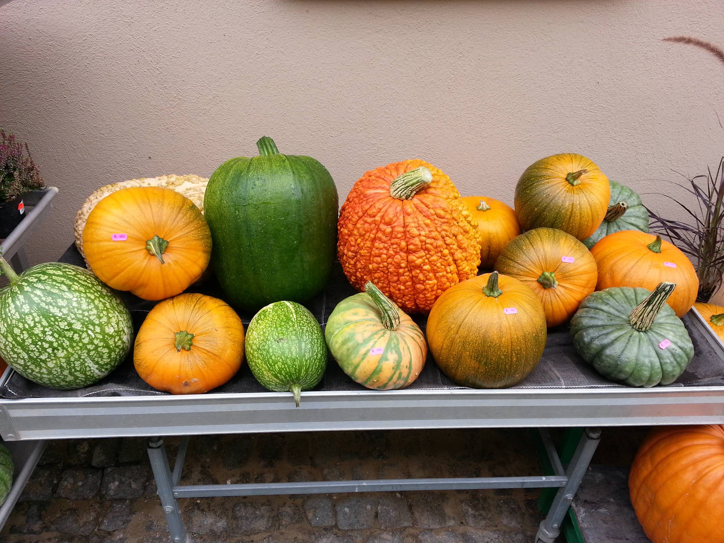 l_20131007_150000 Hofladen Altk&ouml; - Neuigkeiten - Hofladen Altk&ouml;