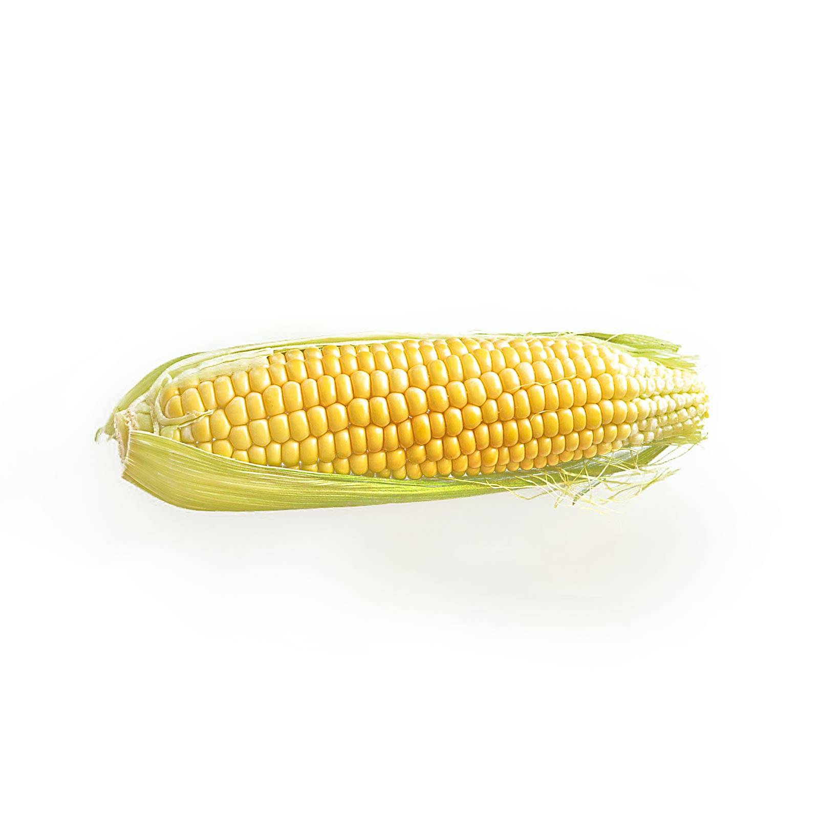 l_mais_pixabay_1600x1600 Gemüsejungpflanzen - Maispflanzen - Hofladen Altkö