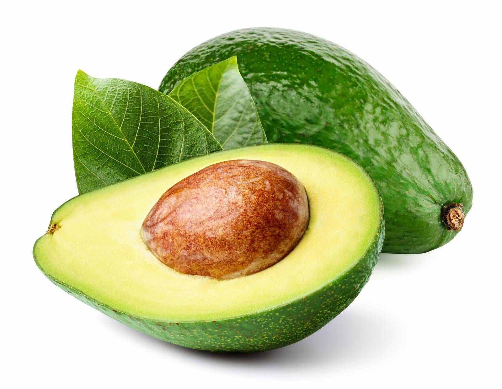 l_avocado Südfrüchte - Avocado - Hofladen Altkö