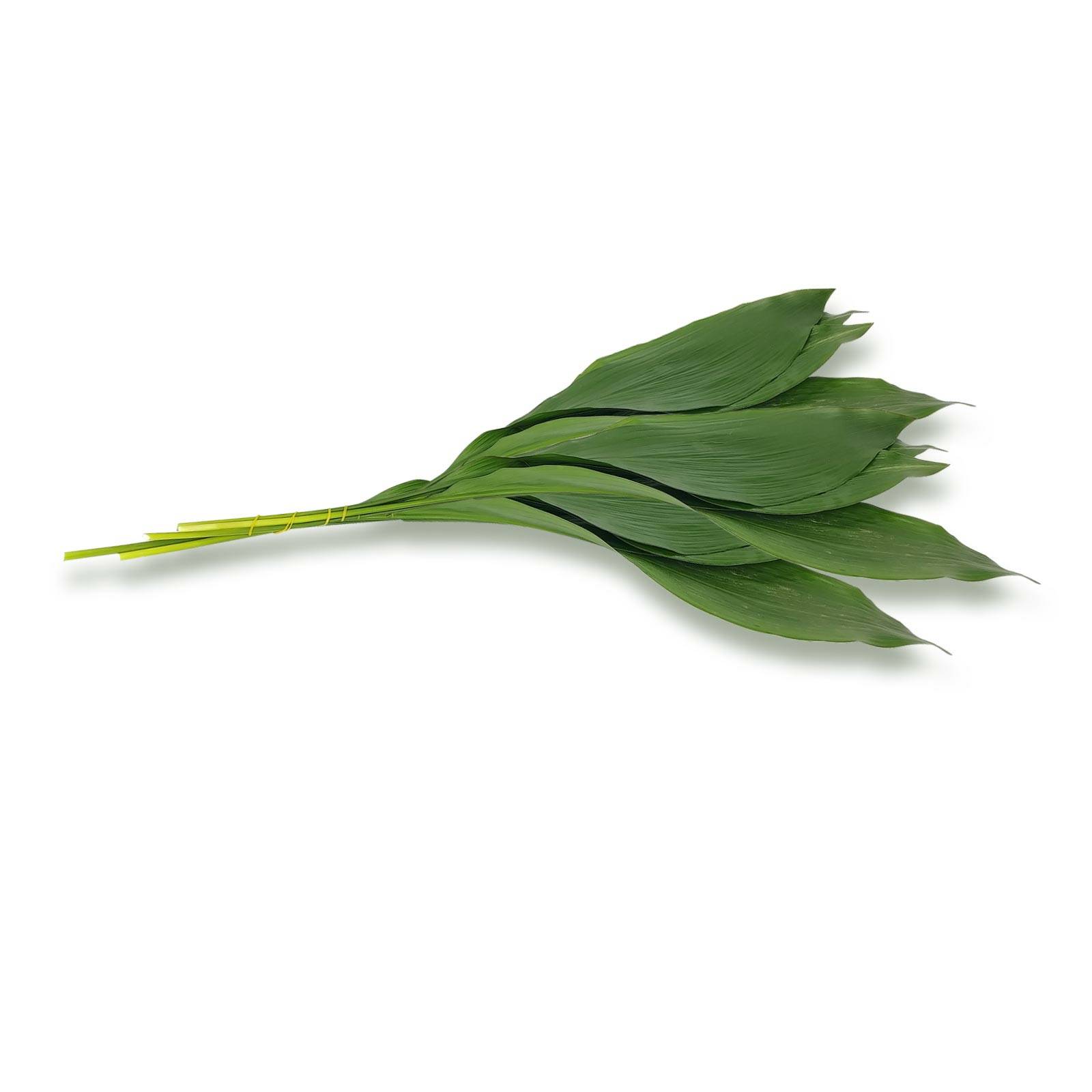 l_baerlauch_pixabay_1600 Frischkräuter - Bärlauch - Hofladen Altkö