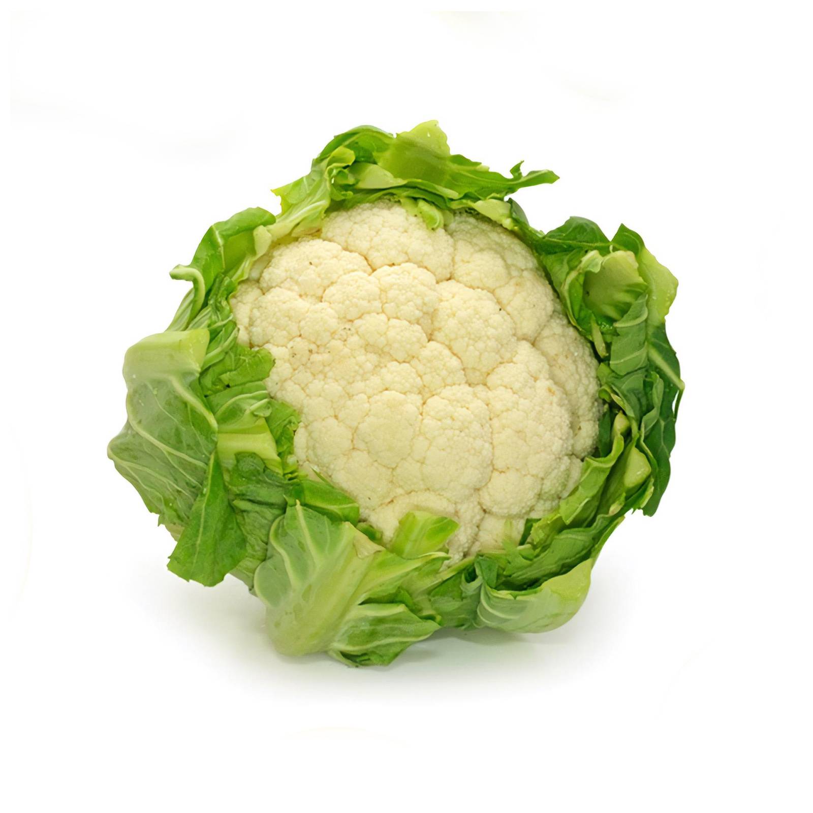 l_blumenkohl_depositphotos_1600 Kohlgemüse - Blumenkohl - Hofladen Altkö