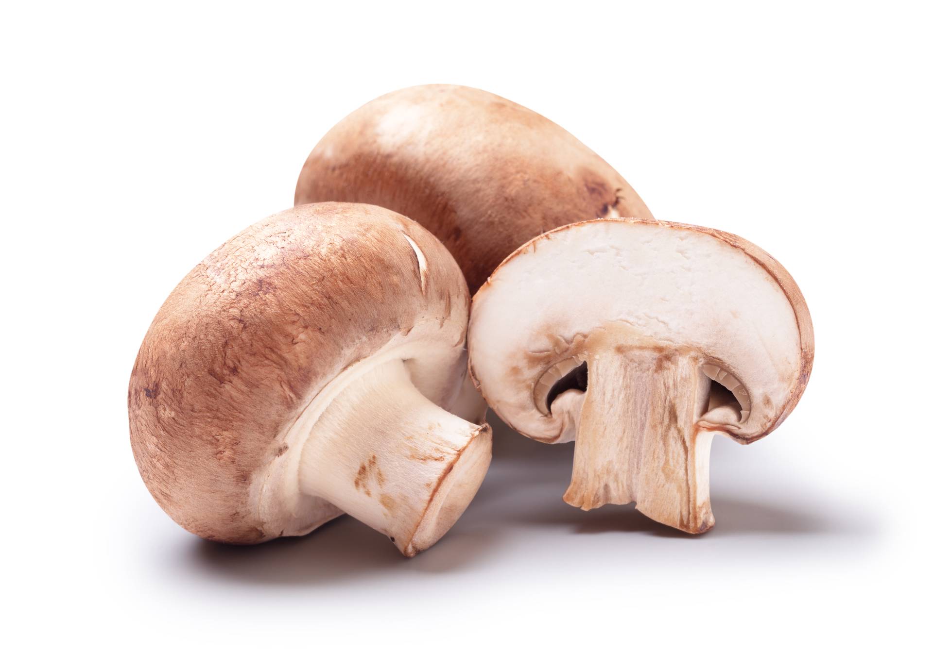 l_depositphotos_105056866_xl-2015.champignons Pilze - Champi­gnons - Hofladen Altkö