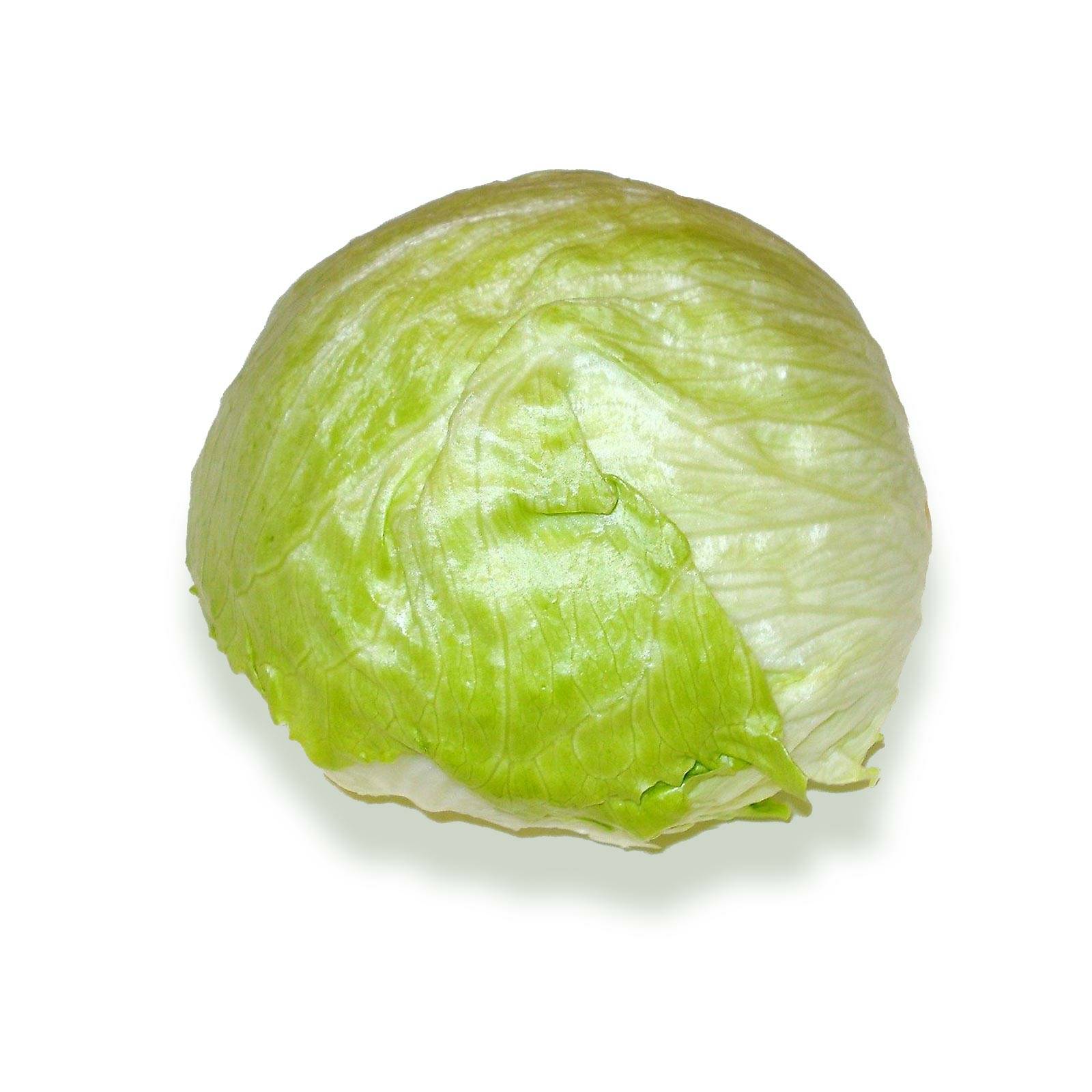 l_eisbergsalat_pixabay_1600 Salate & Blattgemüse - Eissalat - Hofladen Altkö