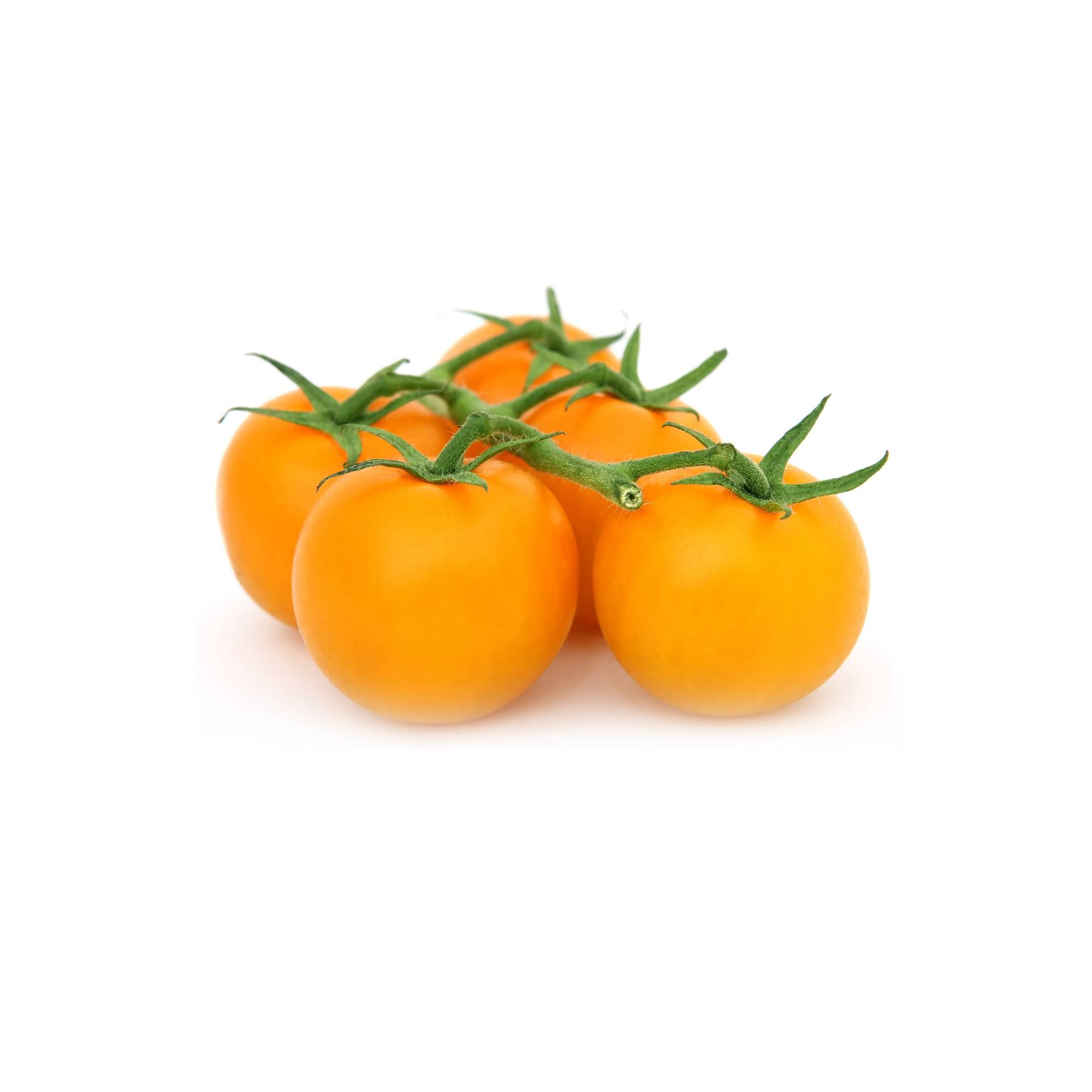 l_gelbetomaten_pixabay_1600 Tomaten - Gelbe Tomaten - Hofladen Altkö