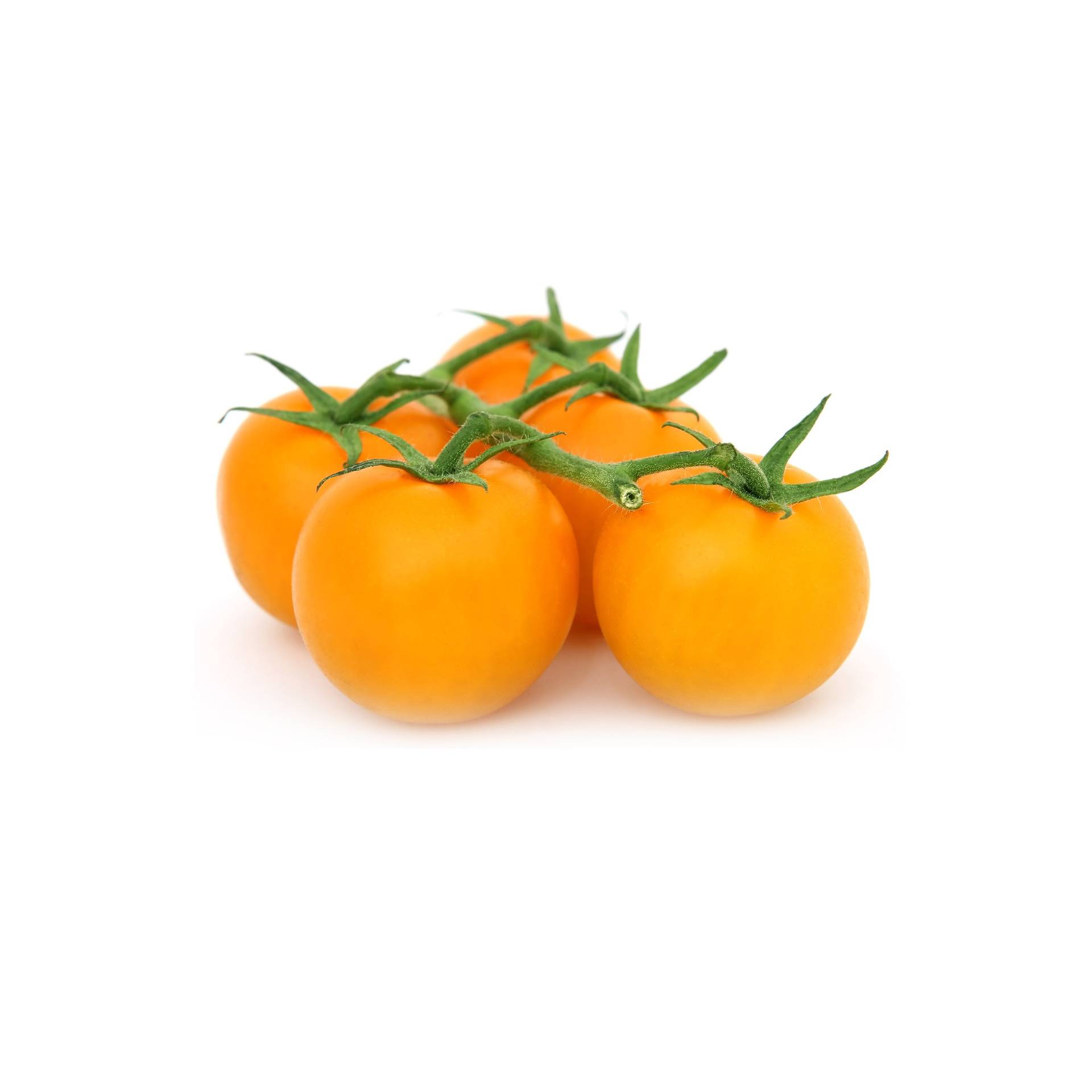 l_gelbetomaten_pixabay_1600 Tomaten - Gelbe Tomaten - Hofladen Altkö