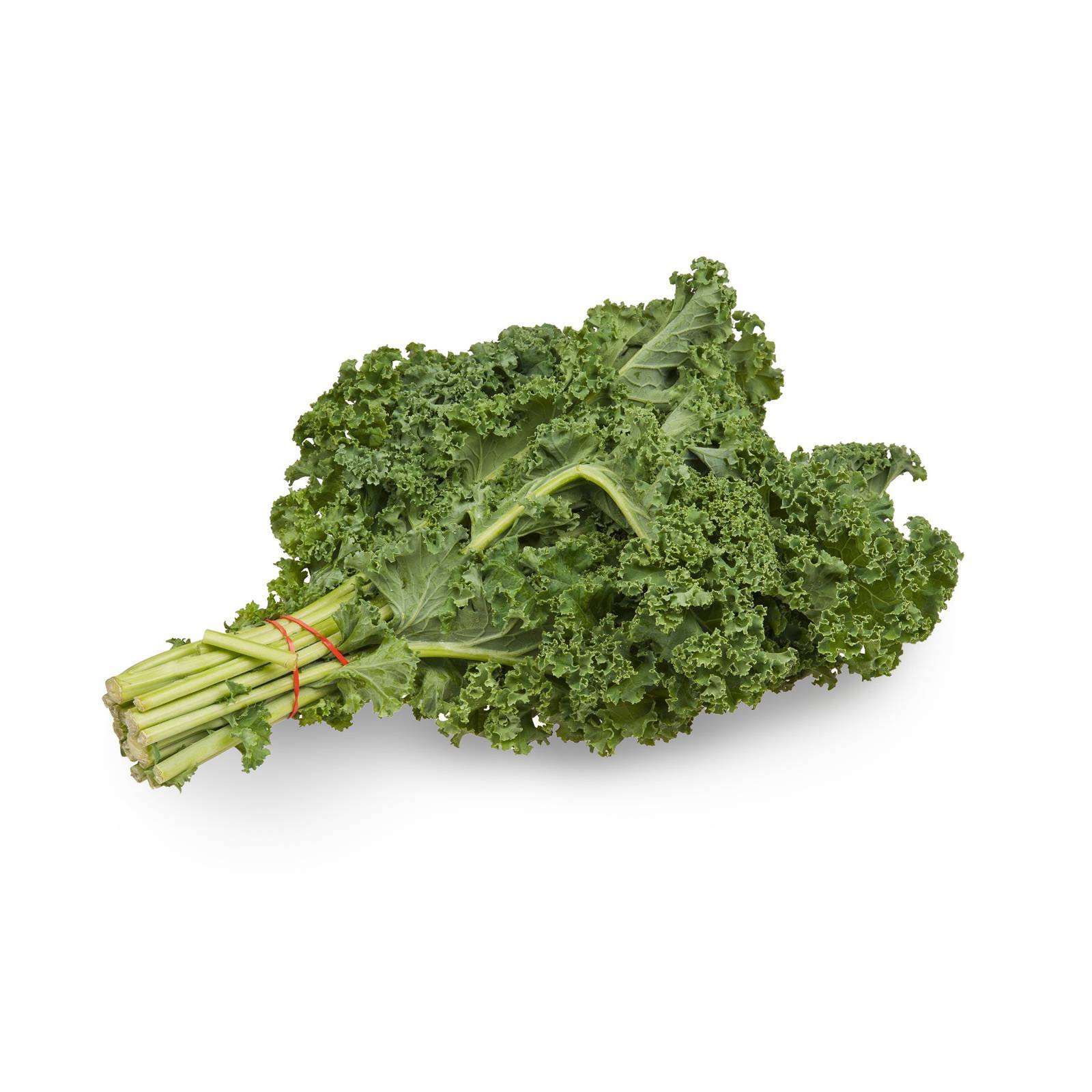 l_gruenkohl_pixabay_1600 Kohlgemüse - Grünkohl - Hofladen Altkö