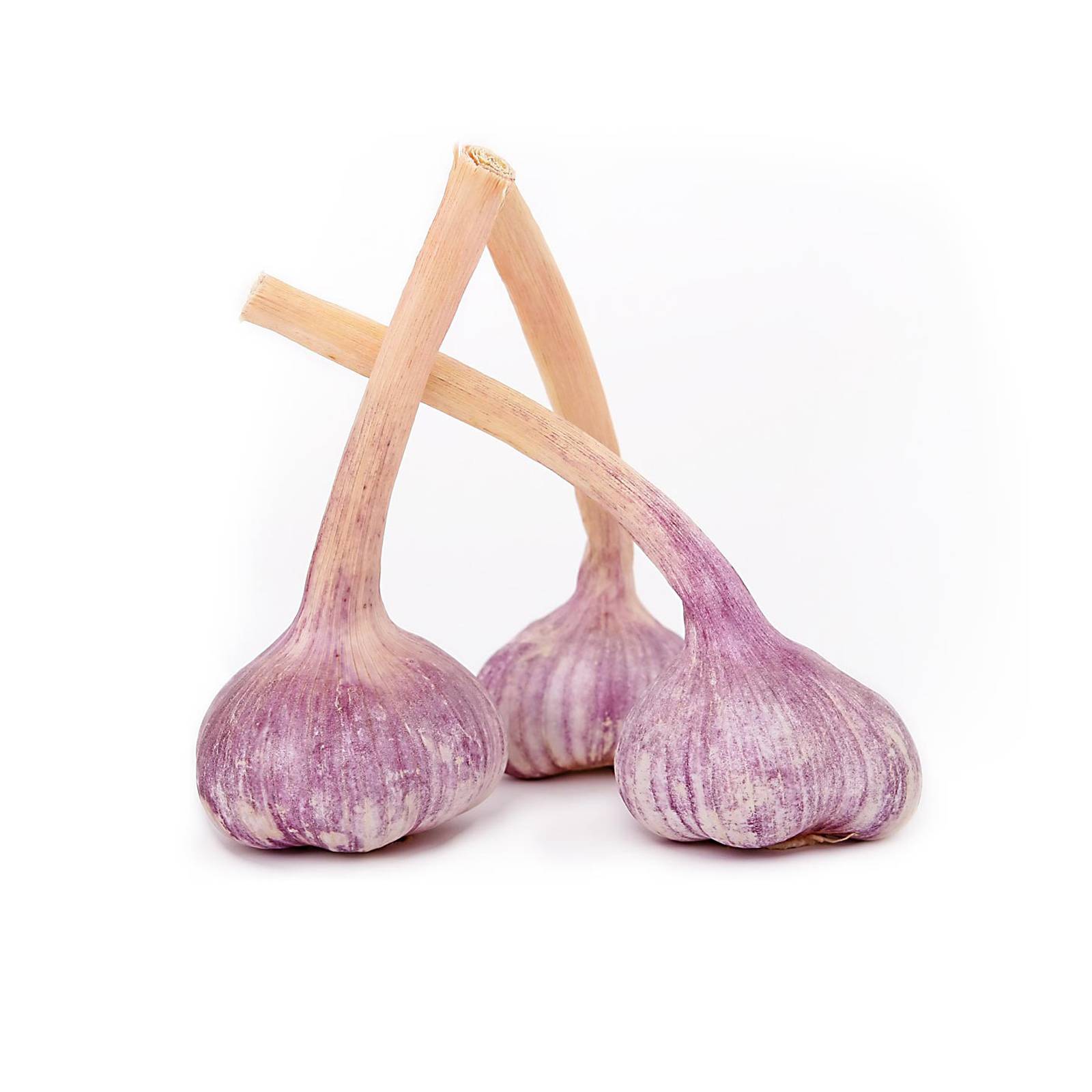 l_knoblauch_pixabay_1600 Wurzel- & Knollengemüse - Knoblauch - Hofladen Altkö