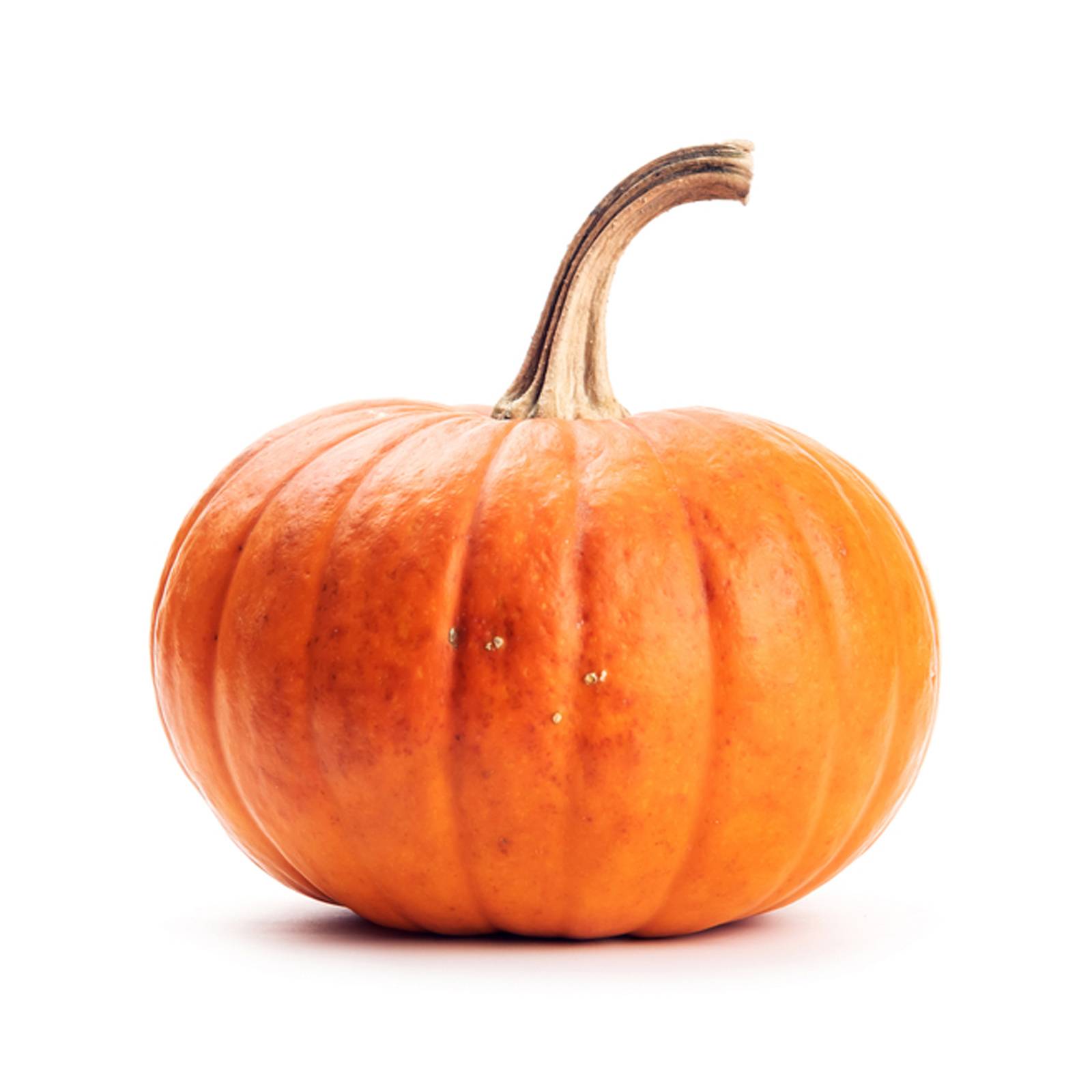 l_muskat_de_provence_depositphotos_1600_7-1 Kürbisse - Muskat­kürbis - Hofladen Altkö