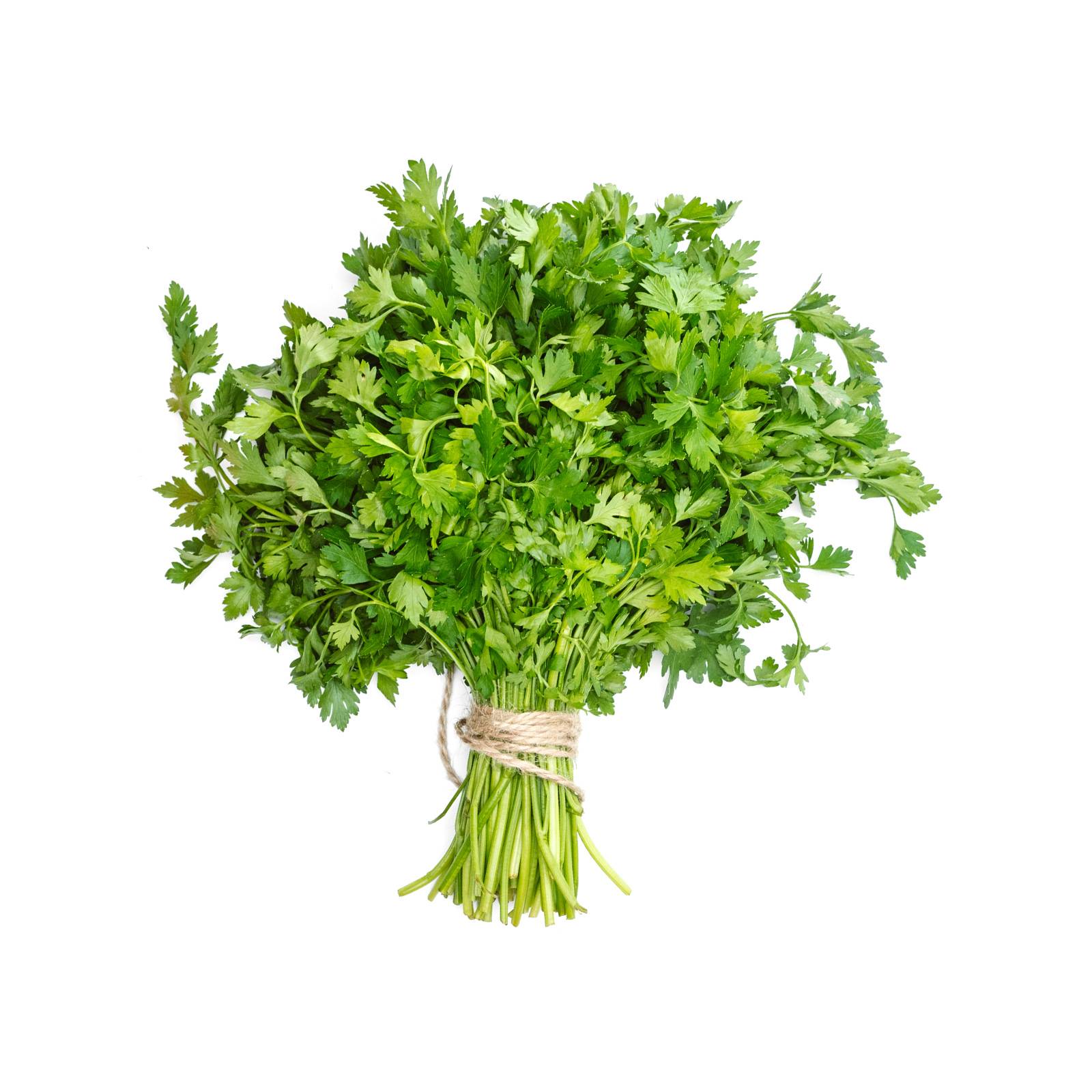 l_petersilie_depositphotos_1600 Frischkräuter - Petersilie glatt - Hofladen Altkö