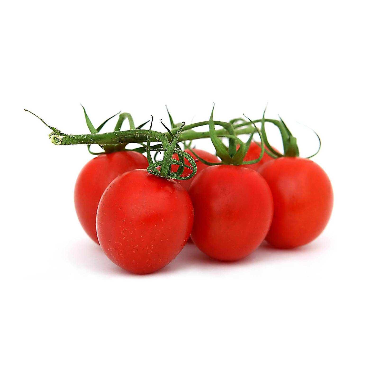 l_pflaumentomaten_pixabay_1600 Tomaten - Eier­tomaten - Hofladen Altkö