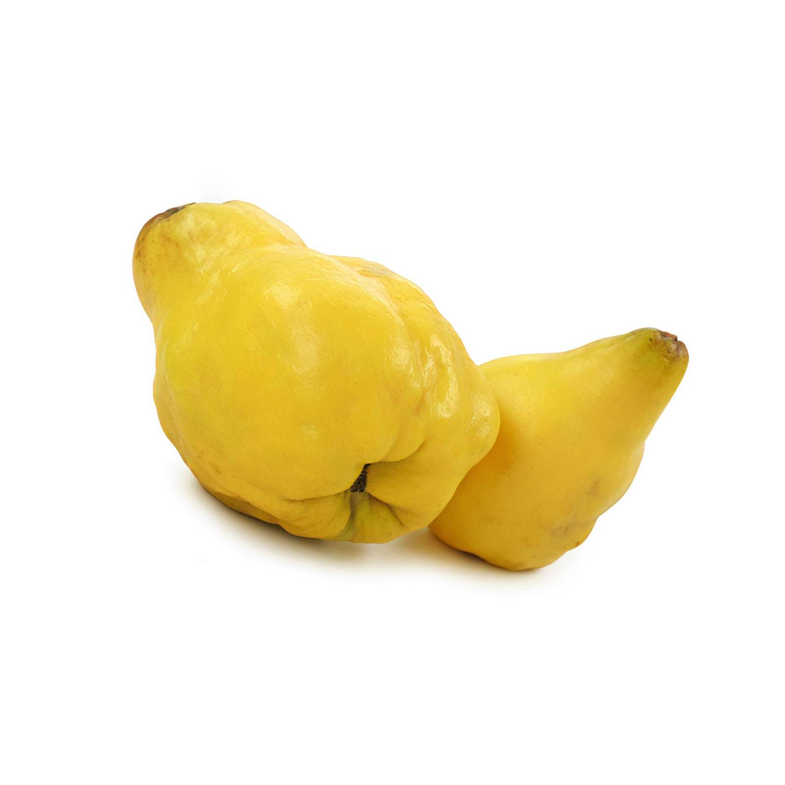 l_quitten_depositphotos_1600 Regionales Obst - Quitten - Hofladen Altkö