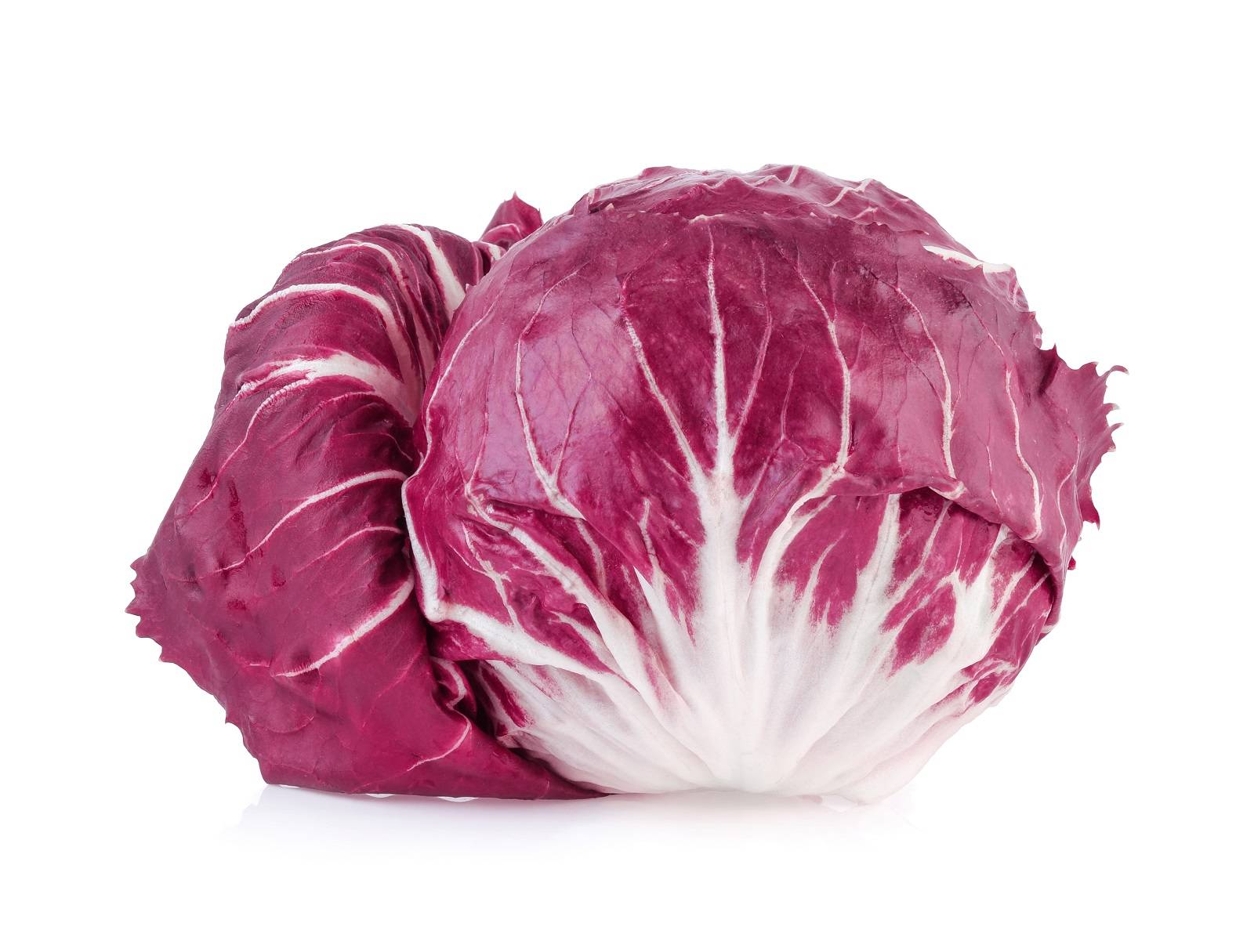 l_radiccio Salate & Blattgemüse - Radicchio - Hofladen Altkö