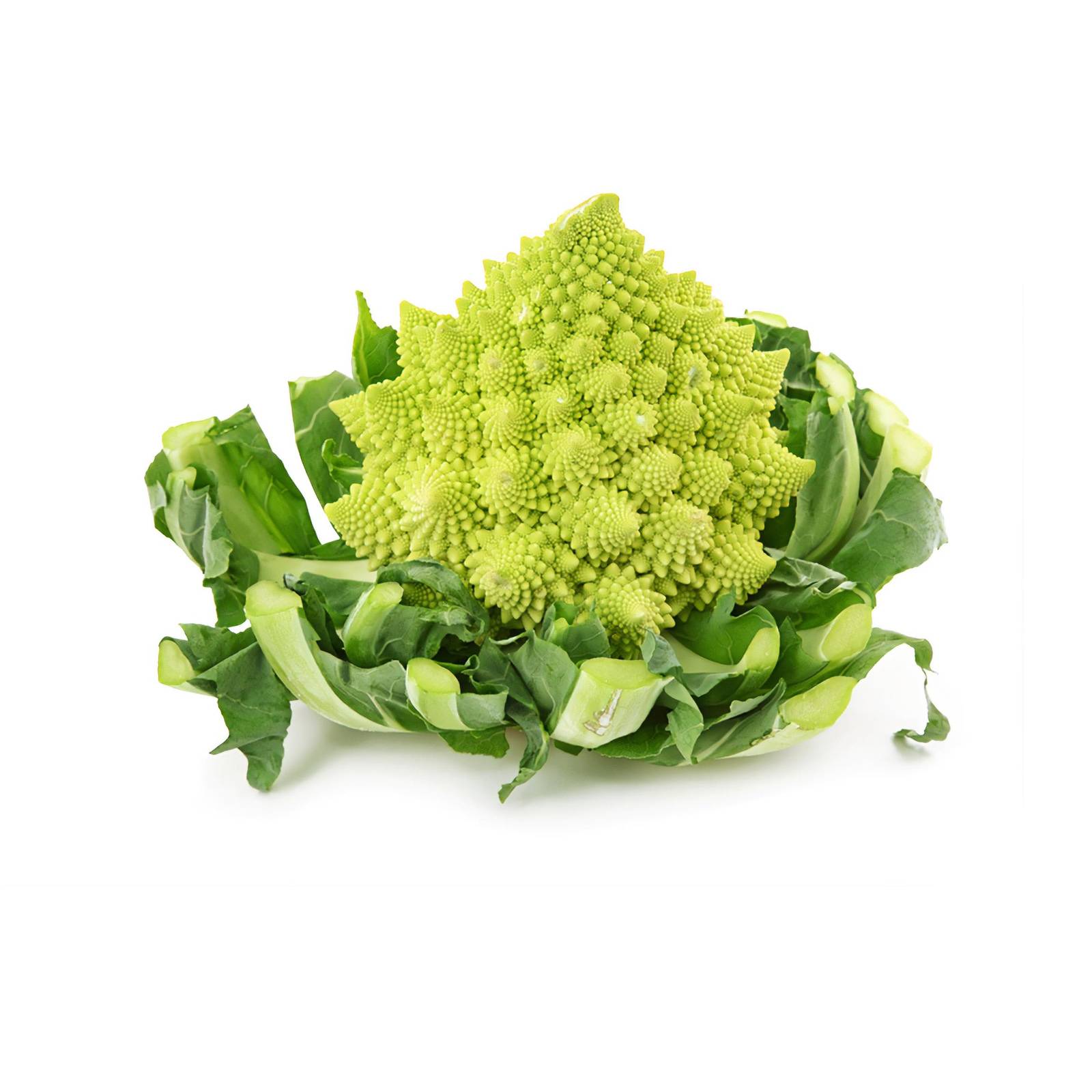 l_romanesco_depositphotos_1600 Kohlgemüse - Romanesko - Hofladen Altkö