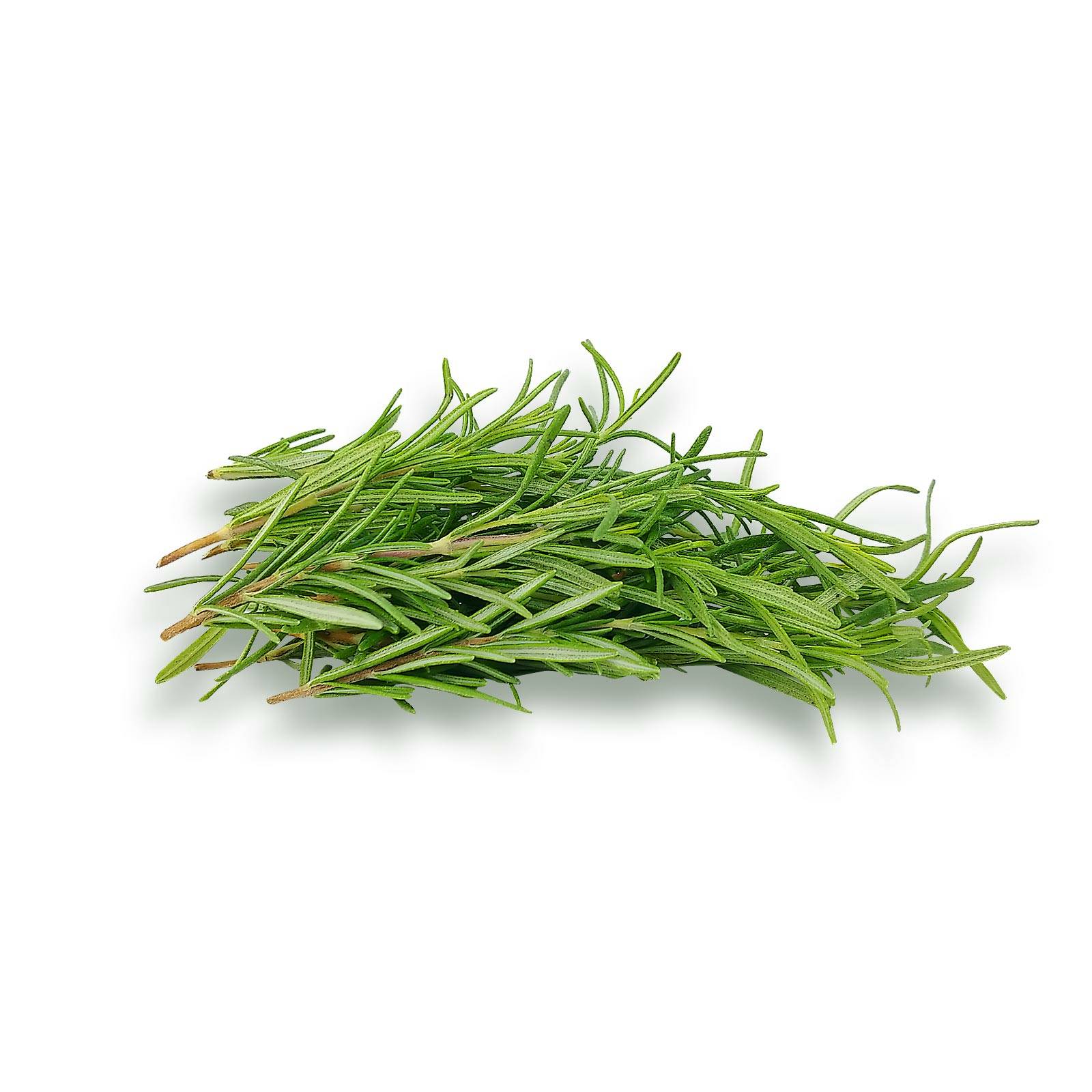 l_rosmarin_pixabay_1600 Frischkräuter - Rosmarin - Hofladen Altkö