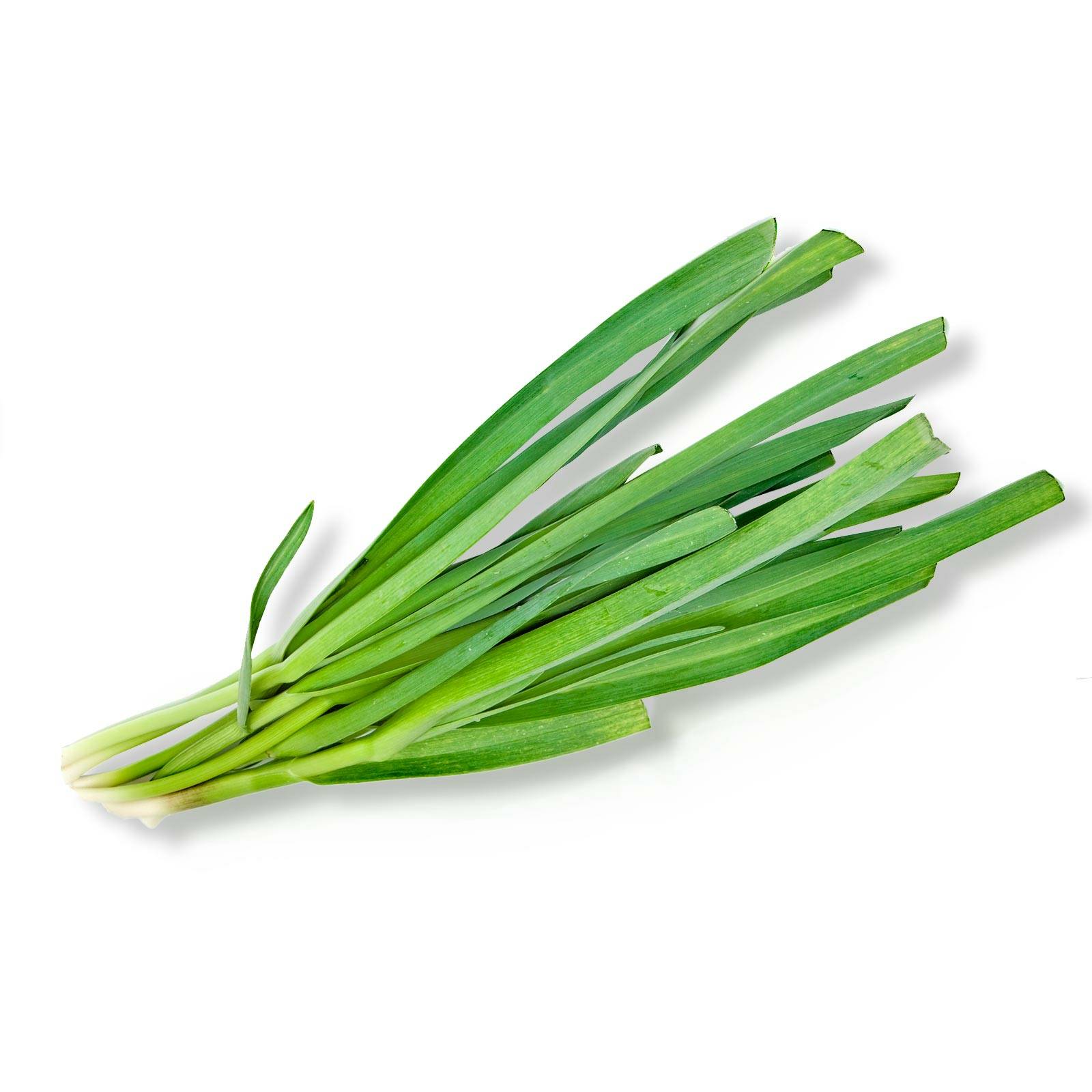 l_schnittknoblauch_depositphotos_1600 Frischkräuter - Schnitt­knoblauch - Hofladen Altkö