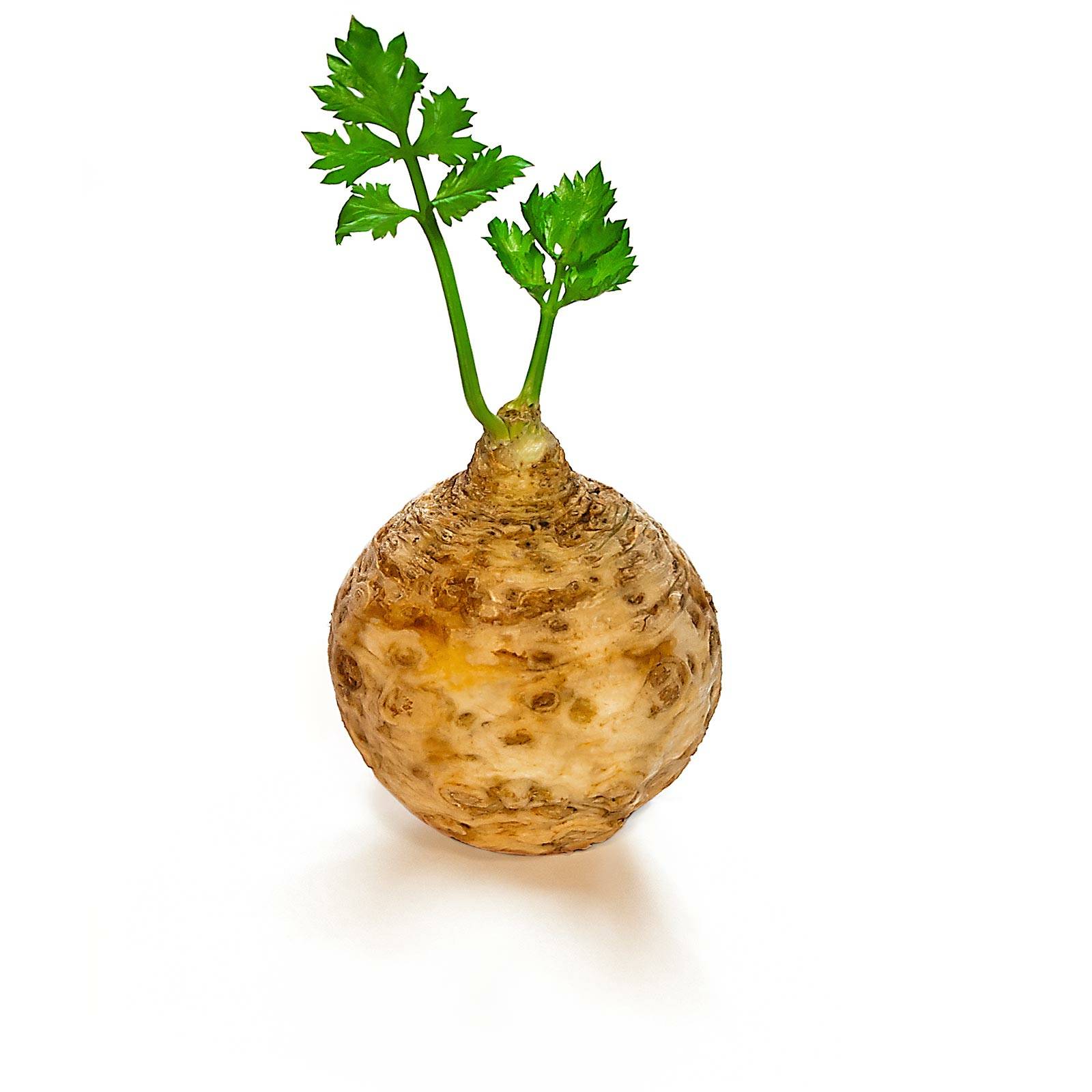 l_selerie_pixabay_1600 Wurzel- & Knollengemüse - Knollen­sellerie - Hofladen Altkö