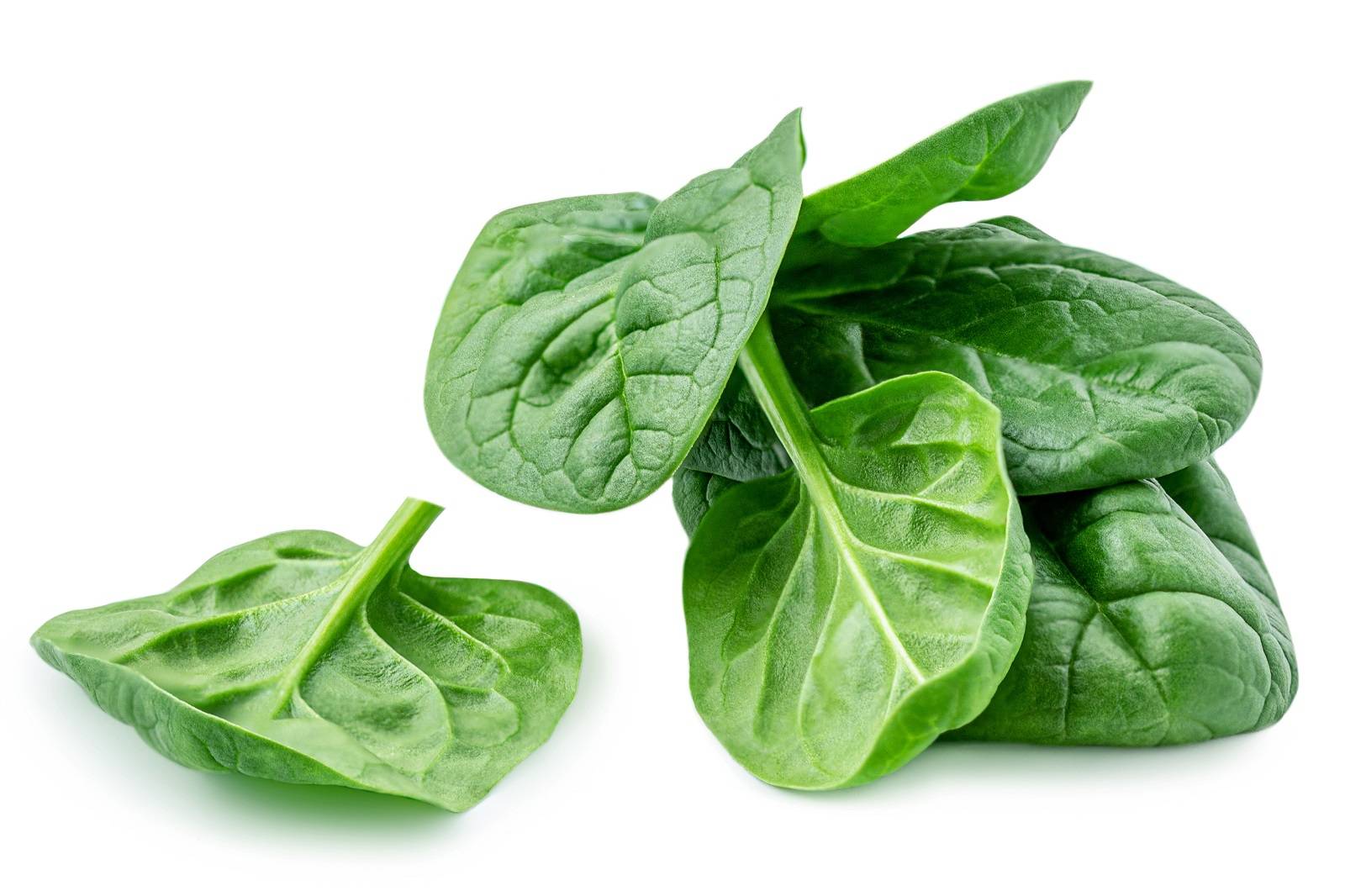 l_spinat Salate & Blattgemüse - Spinat - Hofladen Altkö