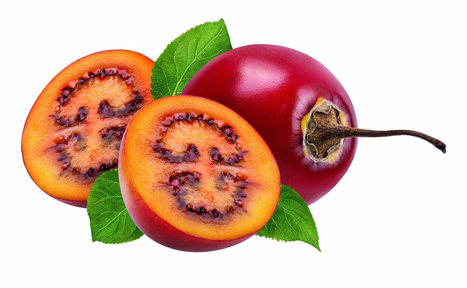 l_tamarillo Südfrüchte - Tamarillo - Hofladen Altkö