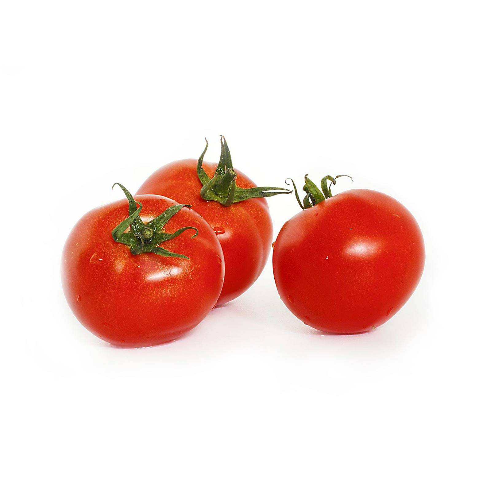 l_tomate-normal_pixabay_1600 Tomaten - Tomate - Hofladen Altkö