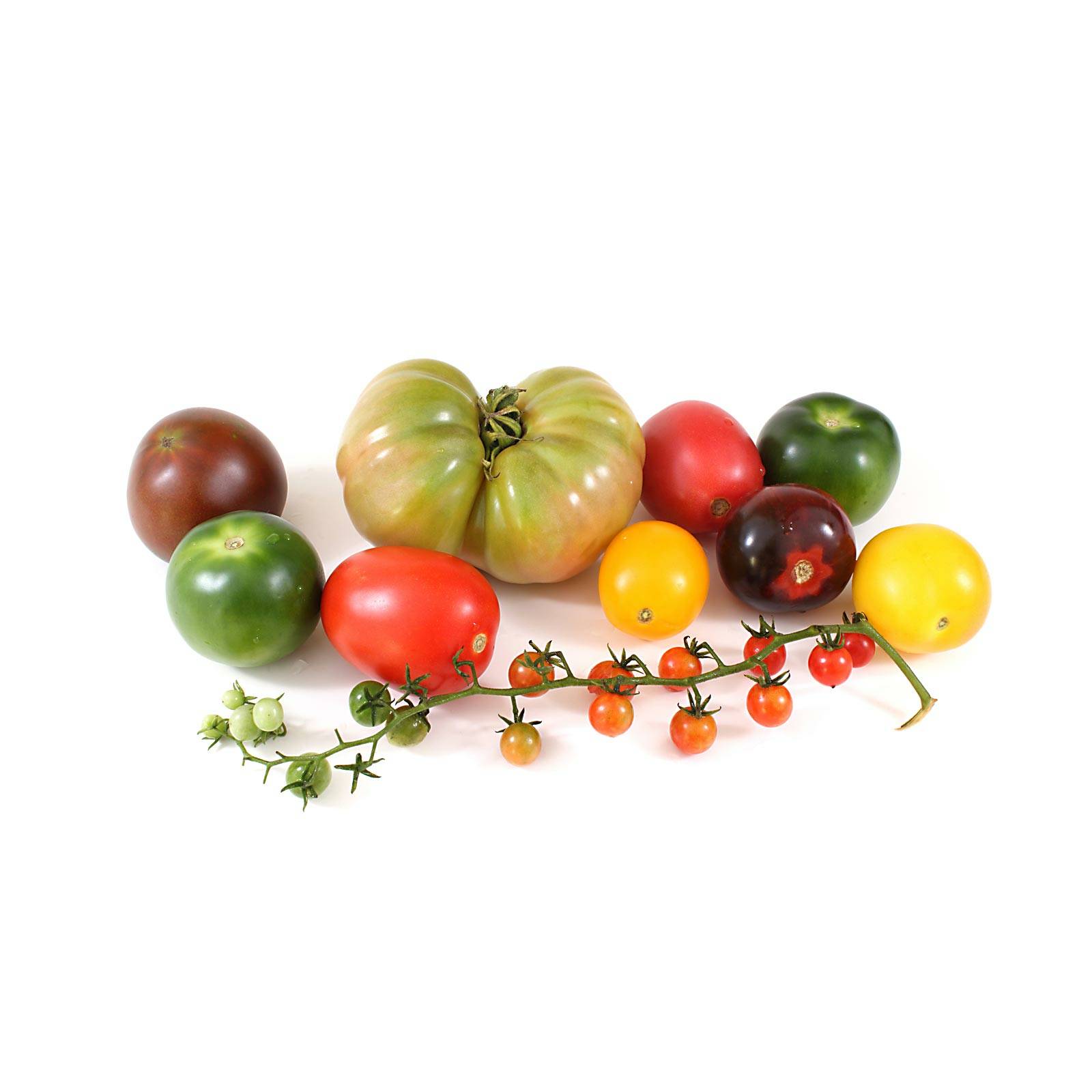 l_wildetomaten_depositphotos_1600x1600 Tomaten - Wild­tomaten - Hofladen Altkö