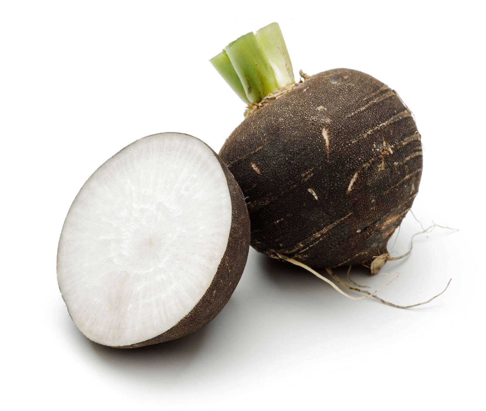 l_winterrettich Wurzel- & Knollengemüse - Schwarzer Winter­rettich - Hofladen Altkö