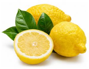 s_amalfi_zitronen Produktsortiment - Hofladen Altk&ouml;