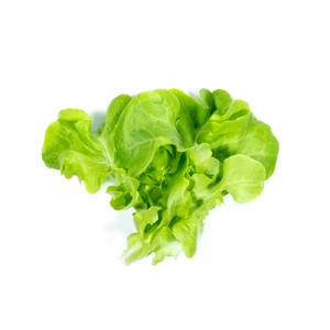 s_pfluechtsalat_pixabay_1600 Salate & Blattgemüse - Pflück­salat - Hofladen Altkö
